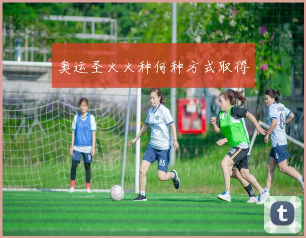奥运圣火火种何种方式取得
