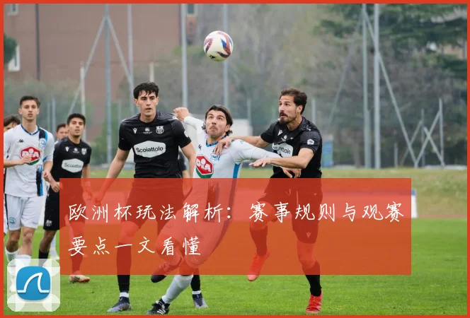 欧洲杯玩法解析：赛事规则与观赛要点一文看懂
