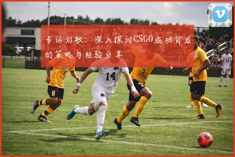 专访刘敏：深入探讨CSGO成功背后的策略与经验分享