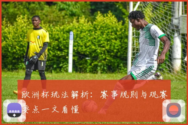 欧洲杯玩法解析：赛事规则与观赛要点一文看懂