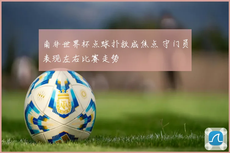 南非世界杯点球扑救成焦点 守门员表现左右比赛走势