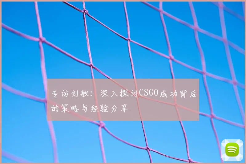 专访刘敏：深入探讨CSGO成功背后的策略与经验分享