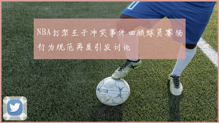 NBA打架王子冲突事件回顾球员赛场行为规范再度引发讨论