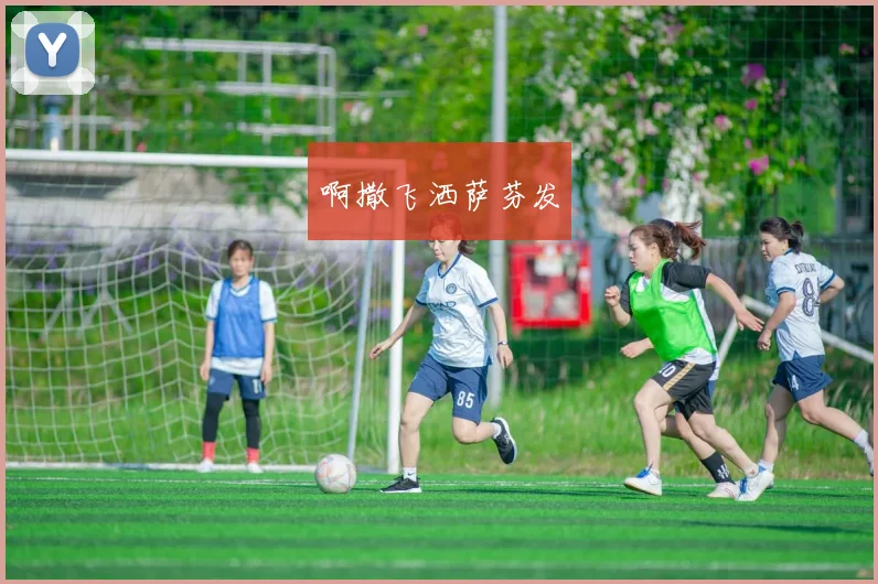 詹姆斯经典logo壁纸回顾湖人新赛季阵容调整动态